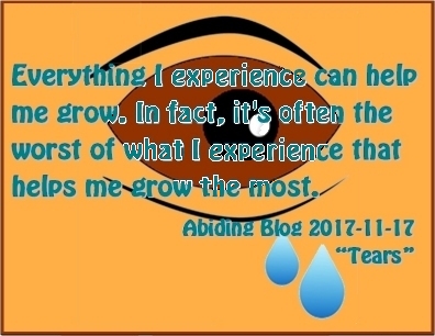 Everything I experience can help me grow. In fact, it's often the worst of what I experience that helps me grow the most. #Experience #Growth #AbidingBlog2017Tears